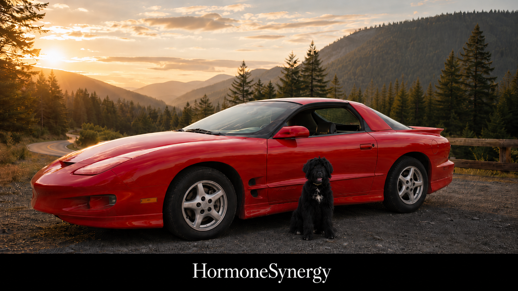 Aria sits beside a bright red Firebird while an adult son and his aging mother share a reflective moment during a cross-country trip.