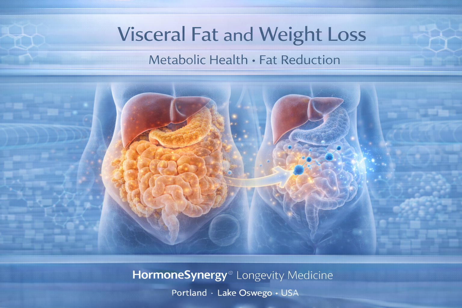 Visceral fat versus subcutaneous fat illustrating differences in metabolic risk insulin resistance and cardiovascular disease HormoneSynergy® Longevity Medicine Portland • Lake Oswego • USA