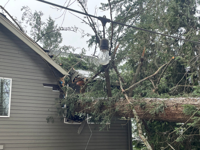 After the Storm: What Rebuilding Our Home Taught Us About Rebuilding Health