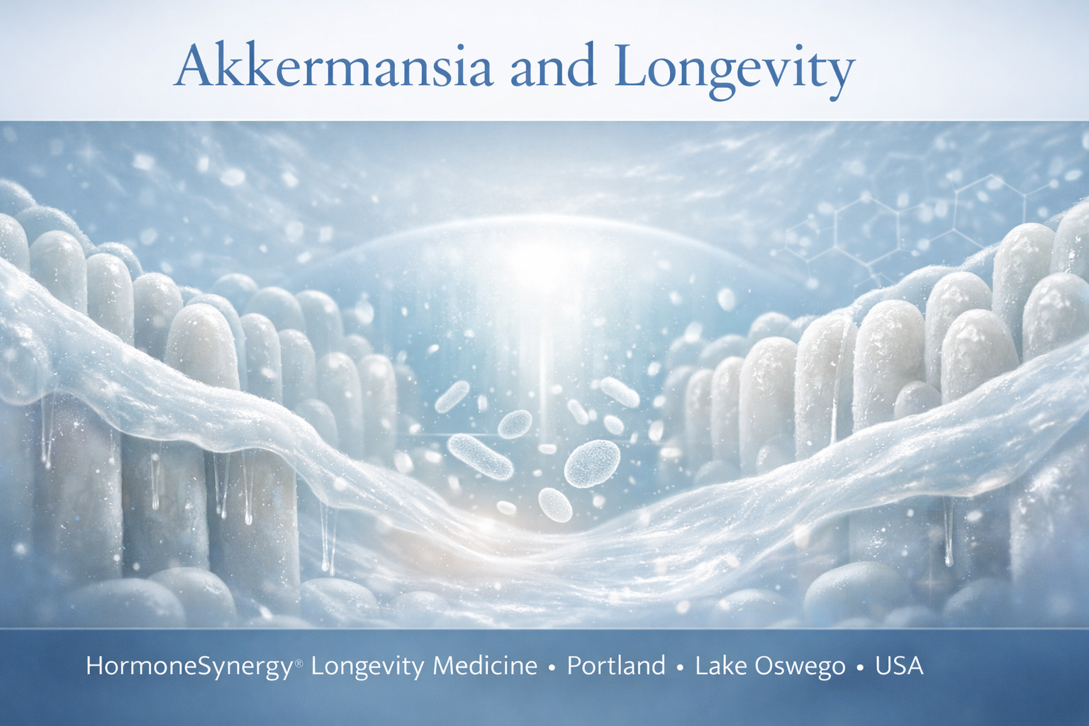 A clinical editorial banner for Akkermansia and longevity featuring a refined microbiome and gut barrier visual style in HormoneSynergy®
