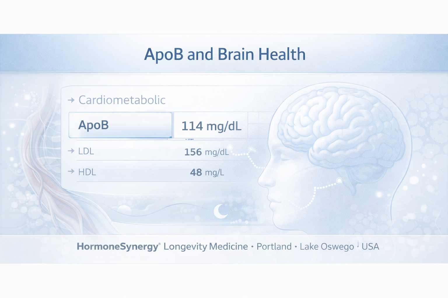 ApoB vascular risk marker visualized in a clean clinical editorial brain-health image with subtle arterial and cerebral circulation context for cognitive longevity