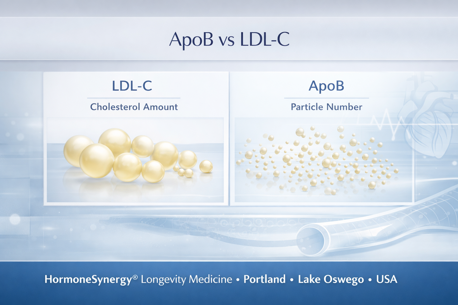 ApoB vs LDL cholesterol comparison clinical visualization for cardiovascular risk and longevity medicine
