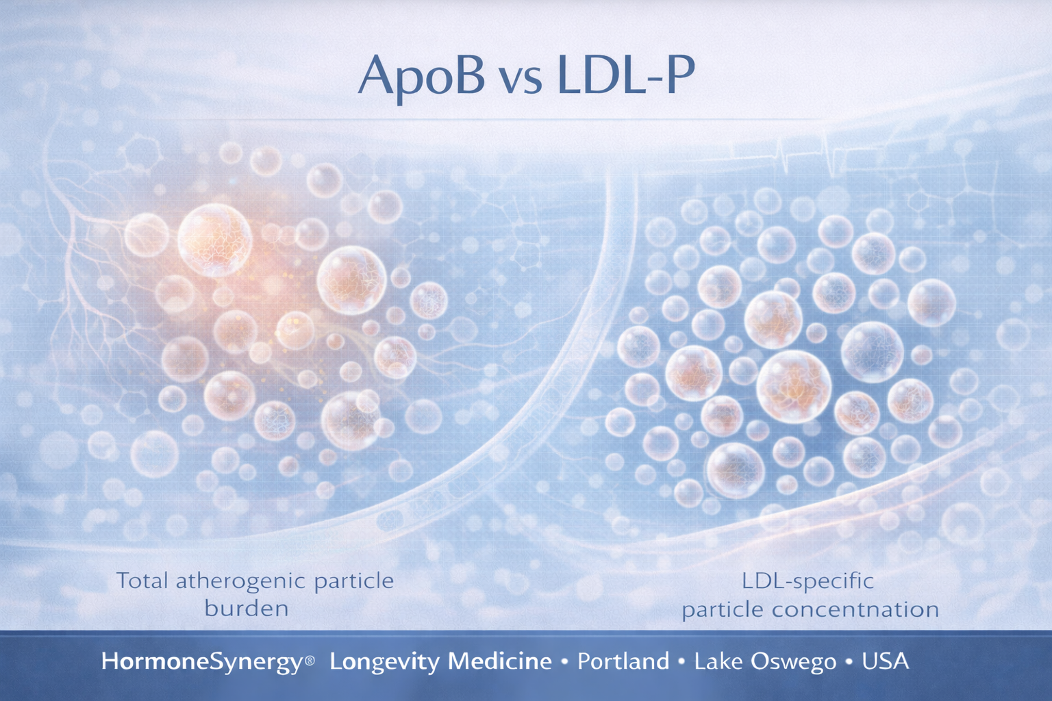 ApoB vs LDL-P clinical illustration comparing total atherogenic particle burden and LDL particle number in cardiovascular risk