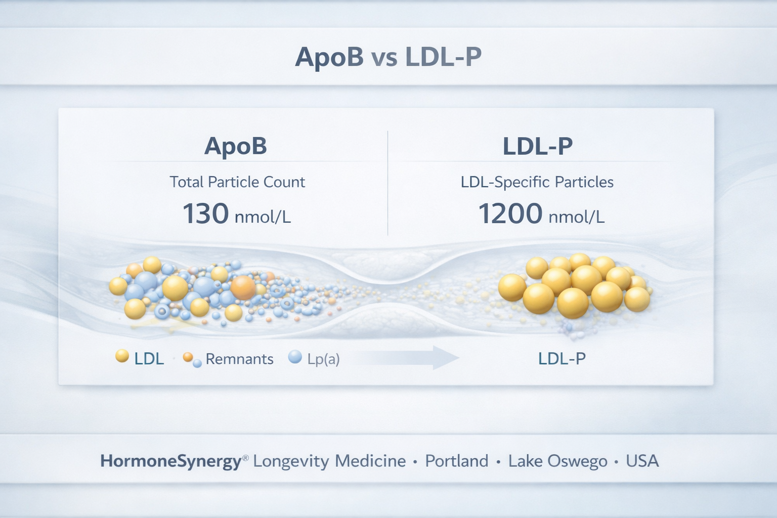 ApoB vs LDL-P cardiovascular particle risk comparison clinical dashboard longevity medicine