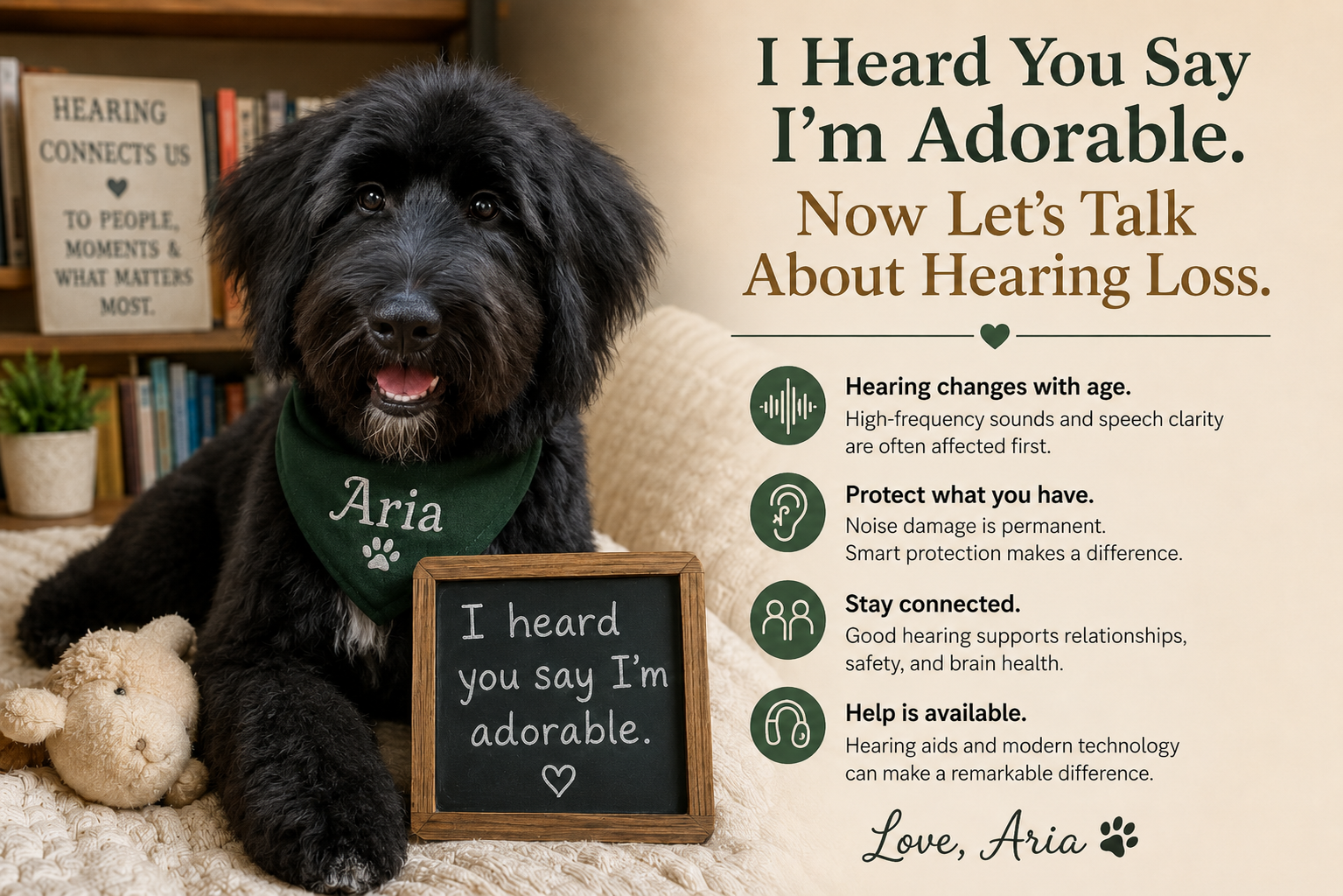 Freshly groomed black Shepadoodle puppy Aria listening alertly beside her doghouse in a HormoneSynergy editorial image about age-related hearing loss, hearing aids, and brain health.
