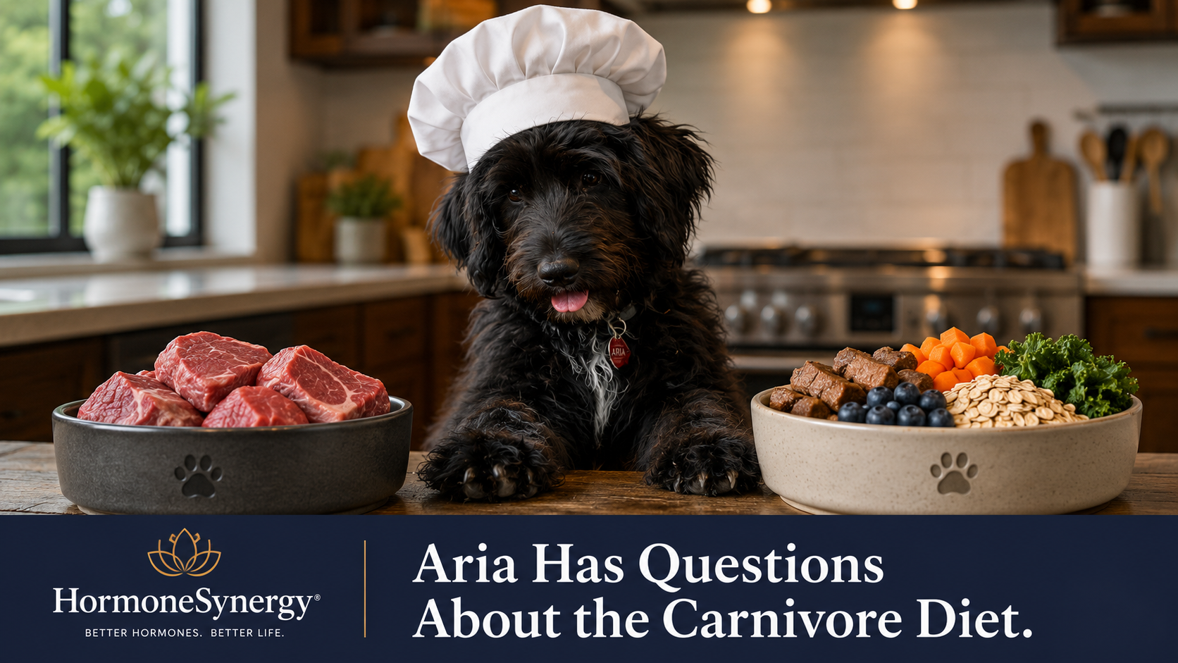 Aria the Shepadoodle wearing a chef’s hat in a kitchen, seated between a meat-only dog bowl and a balanced bowl with meat, blueberries, carrots, oats, and greens, representing a HormoneSynergy®