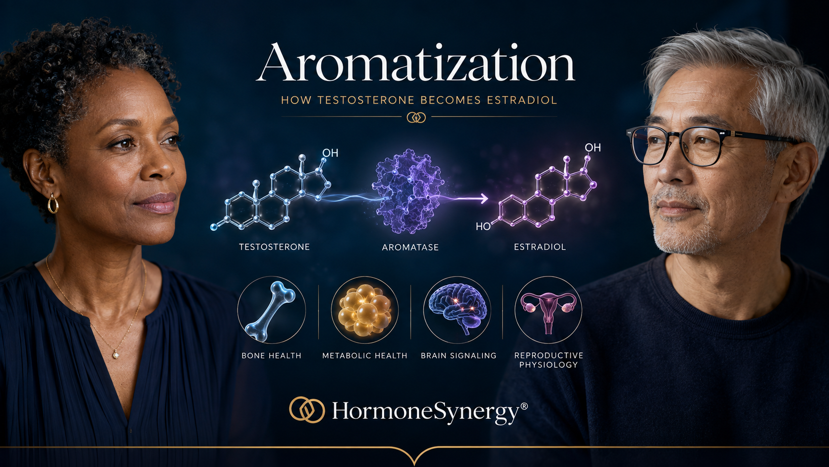 Aromatization illustration showing testosterone converting to estradiol through the aromatase enzyme and its role in hormone and bone health.