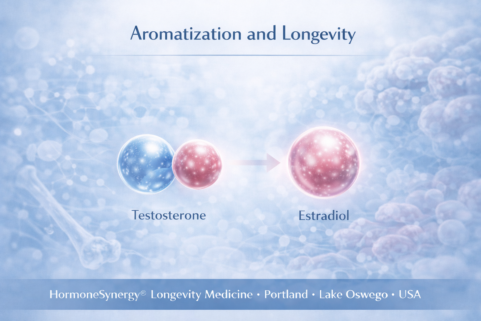 Clinical editorial illustration showing aromatization, the conversion of testosterone to estradiol, and its role in hormone balance and longevity medicine.