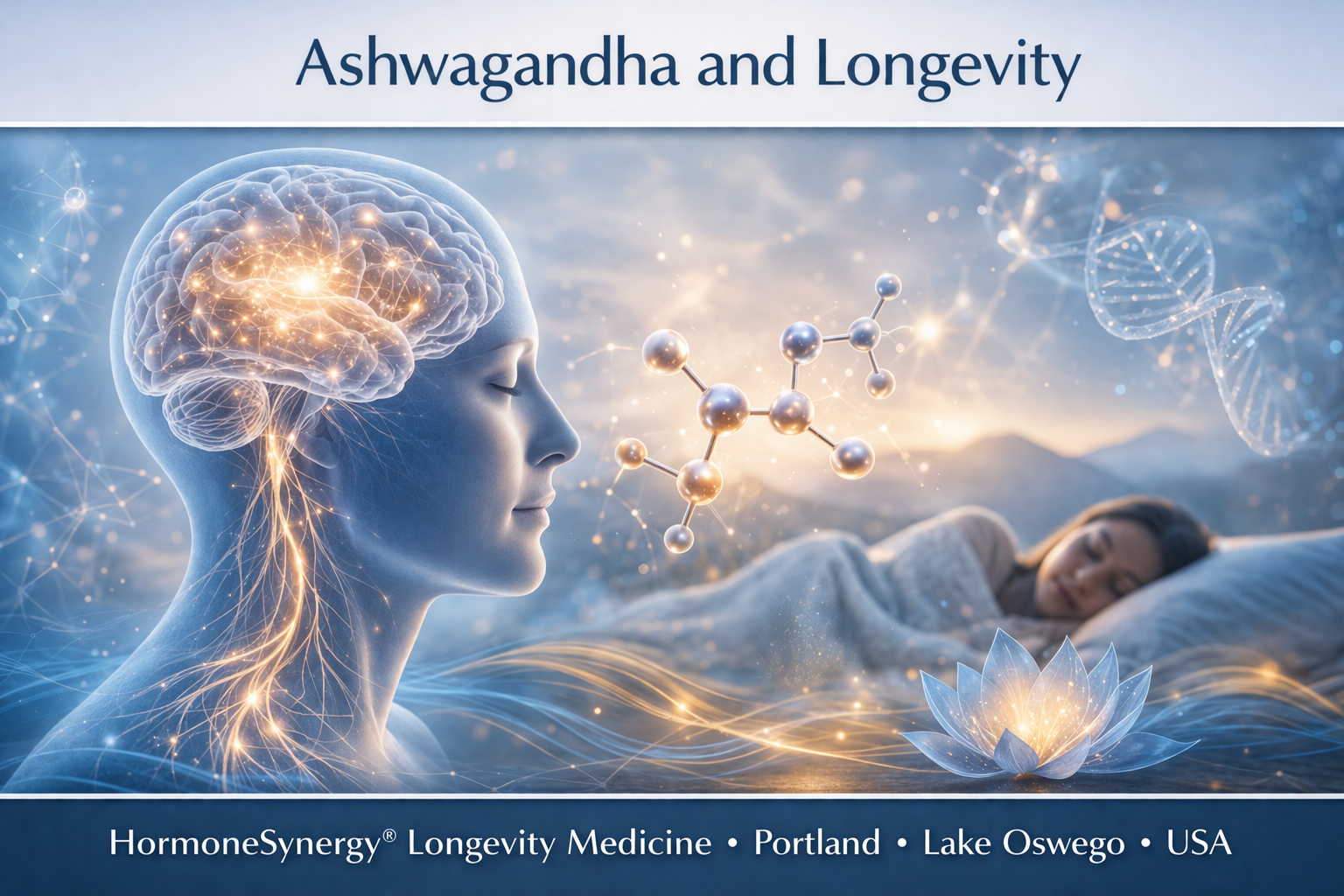 Ashwagandha and longevity clinical banner for longevity medicine showing stress resilience sleep support brain recovery and nervous system balance HormoneSynergy Portland Oregon USA