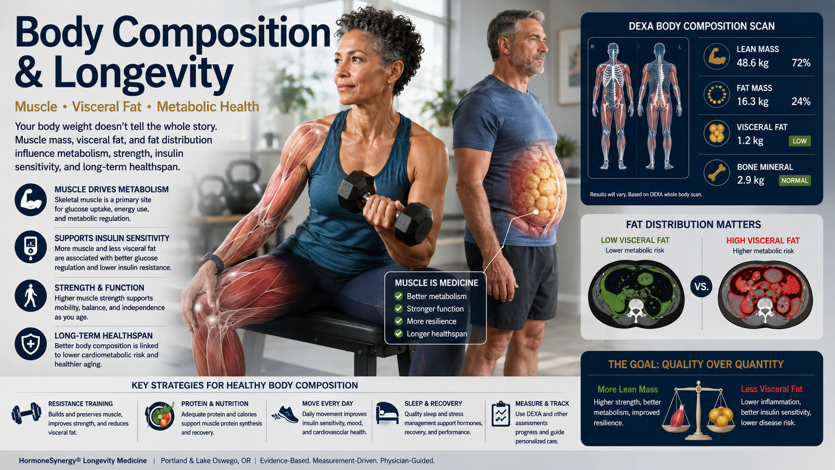 DEXA body composition visualization showing muscle, visceral fat, fat distribution, and bone in longevity medicine.