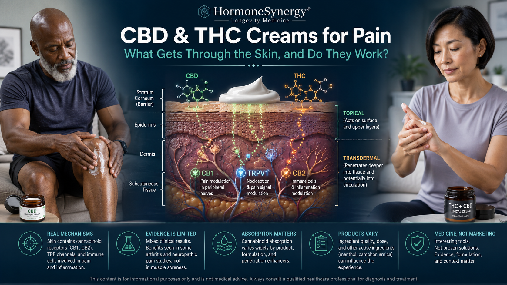 CBD and THC creams for pain illustration showing topical cannabinoid absorption through skin and CB1, CB2, and TRPV1 pain-signaling pathways.