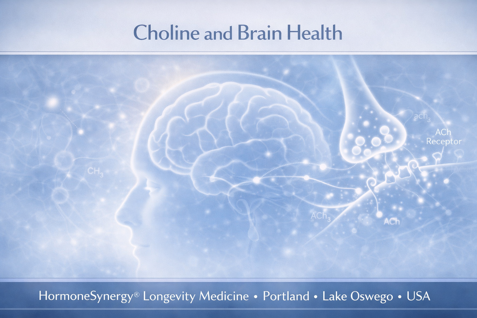 Choline and brain health clinical illustration showing acetylcholine signaling, neuronal membranes, and cognitive function