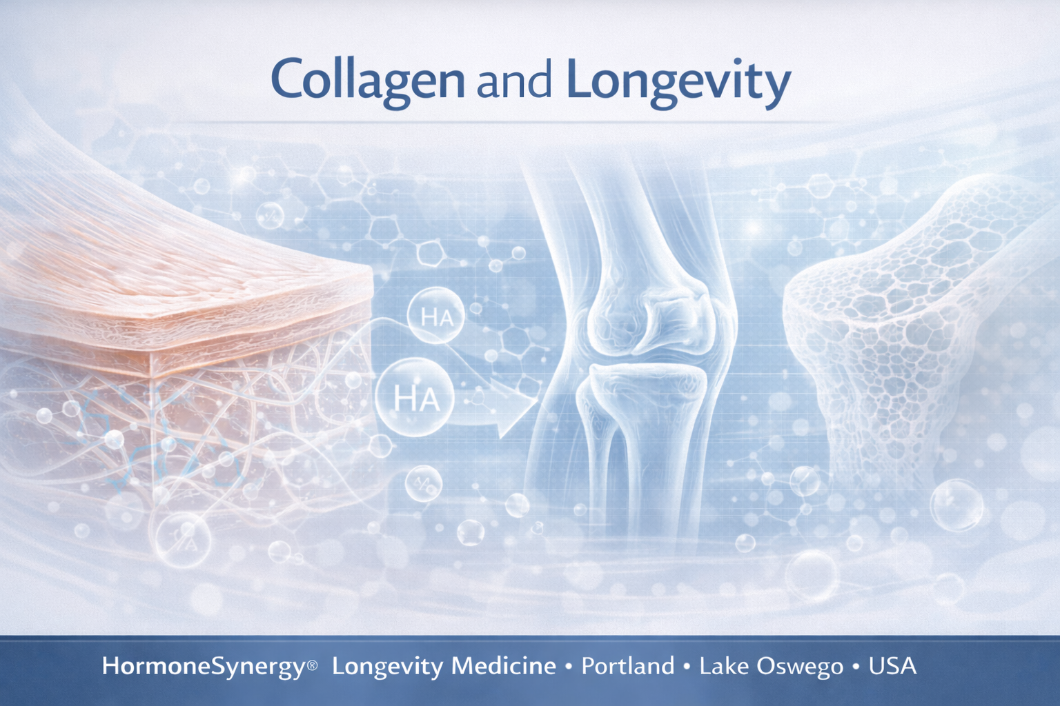Collagen and longevity clinical illustration showing connective tissue support for skin, joints, tendons, bone, and structural aging