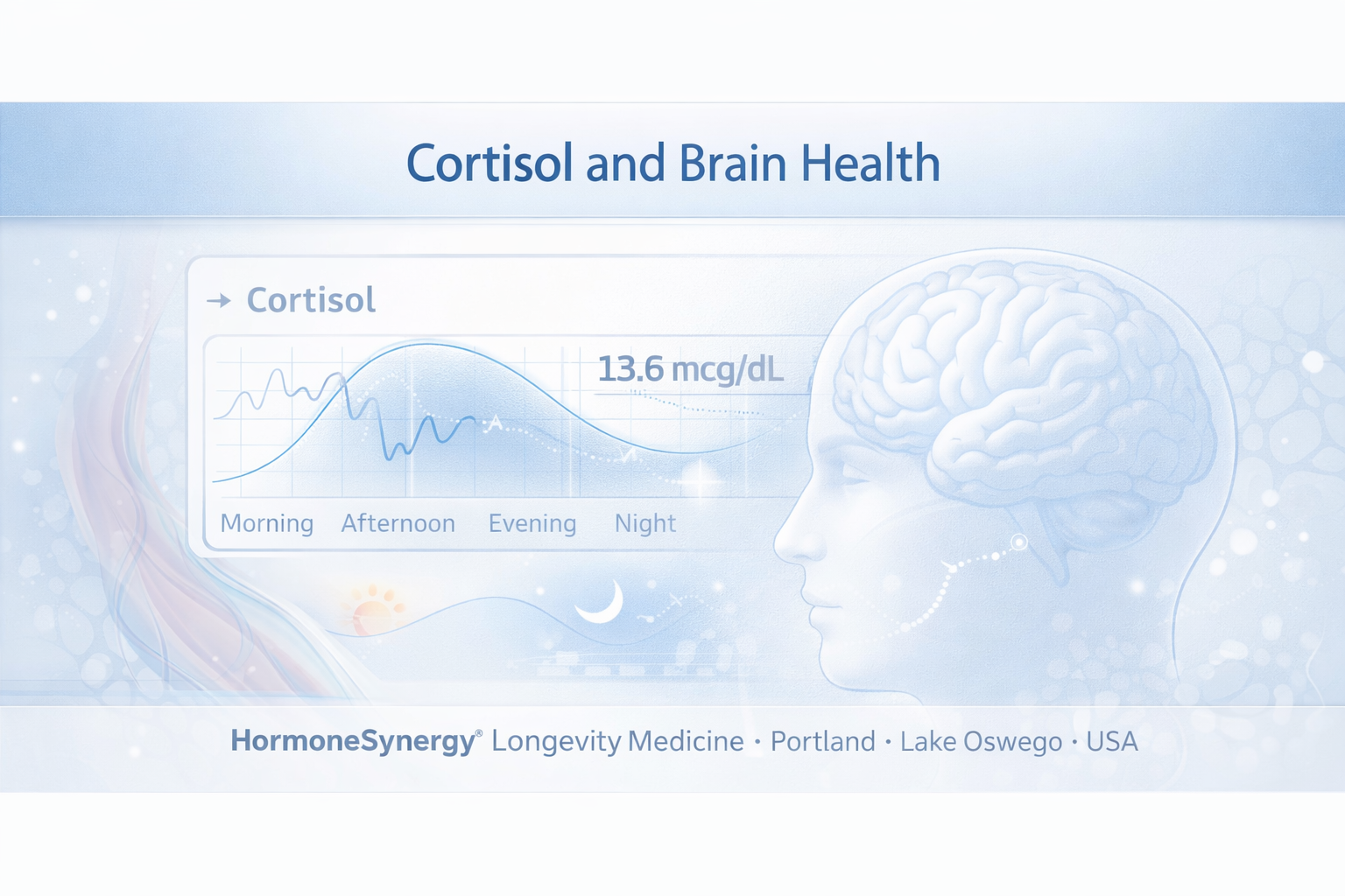 Cortisol and brain health visualized in a clean clinical editorial style with subtle circadian, stress-response, and neuro-context cues for cognitive longevity
