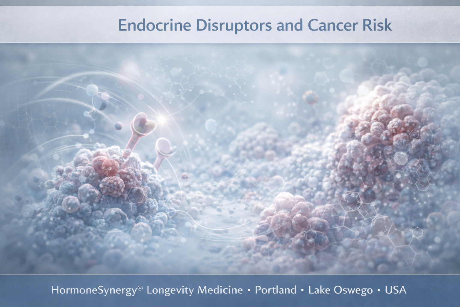 hormone signaling and cellular growth representing endocrine disruptors and cancer risk in HormoneSynergy®