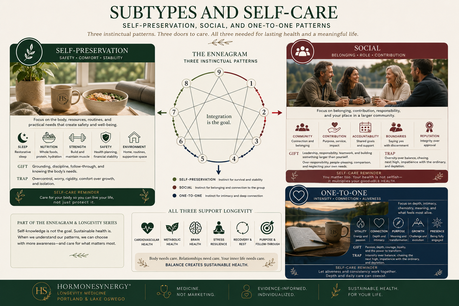 Enneagram subtypes image showing Self-Preservation, Social, and One-to-One patterns in self-care, health behavior change, and sustainable longevity in the HormoneSynergy approach.