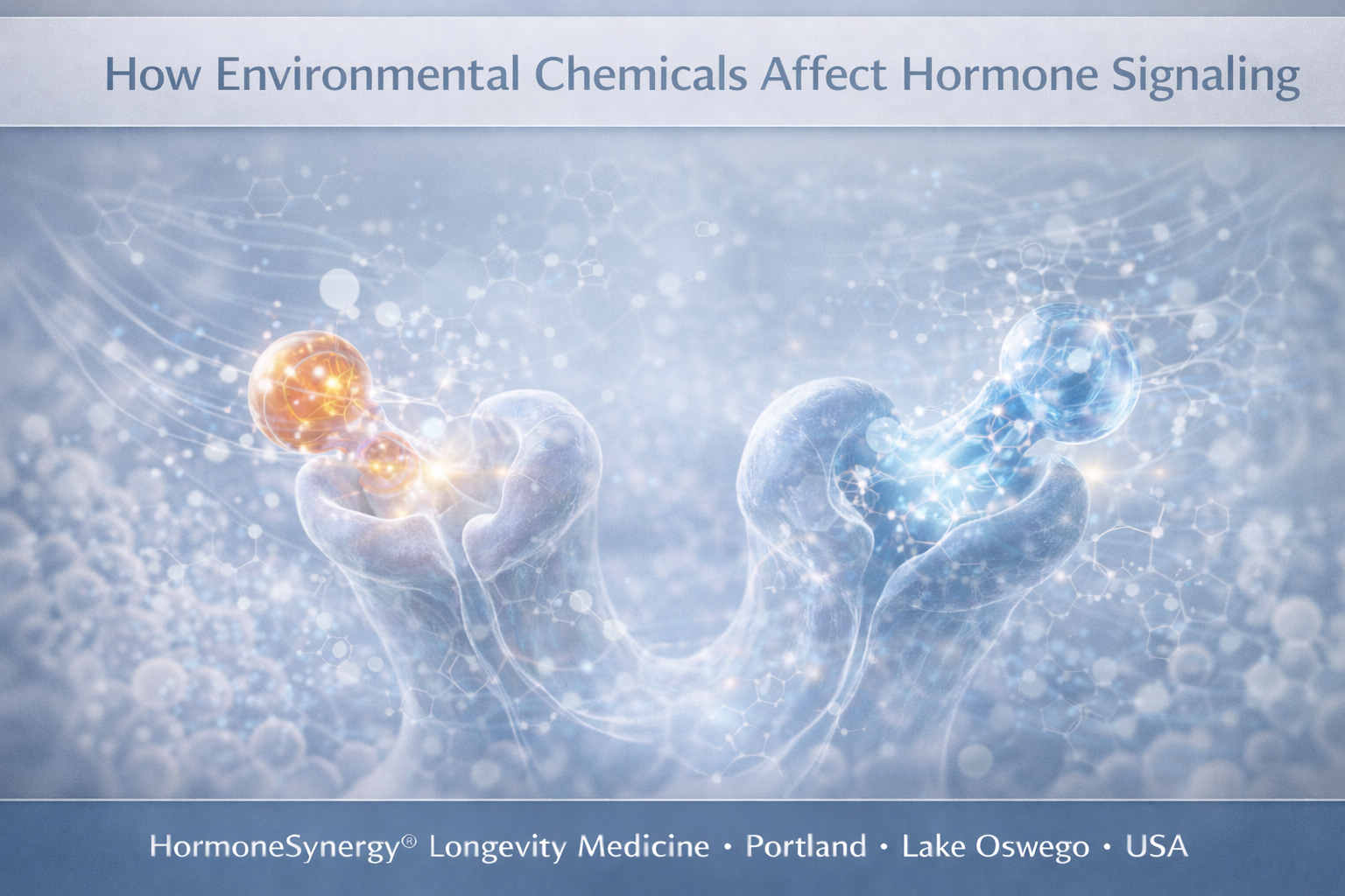 Scientific visualization of hormone receptor signaling and environmental chemical interaction in HormoneSynergy® clinical style