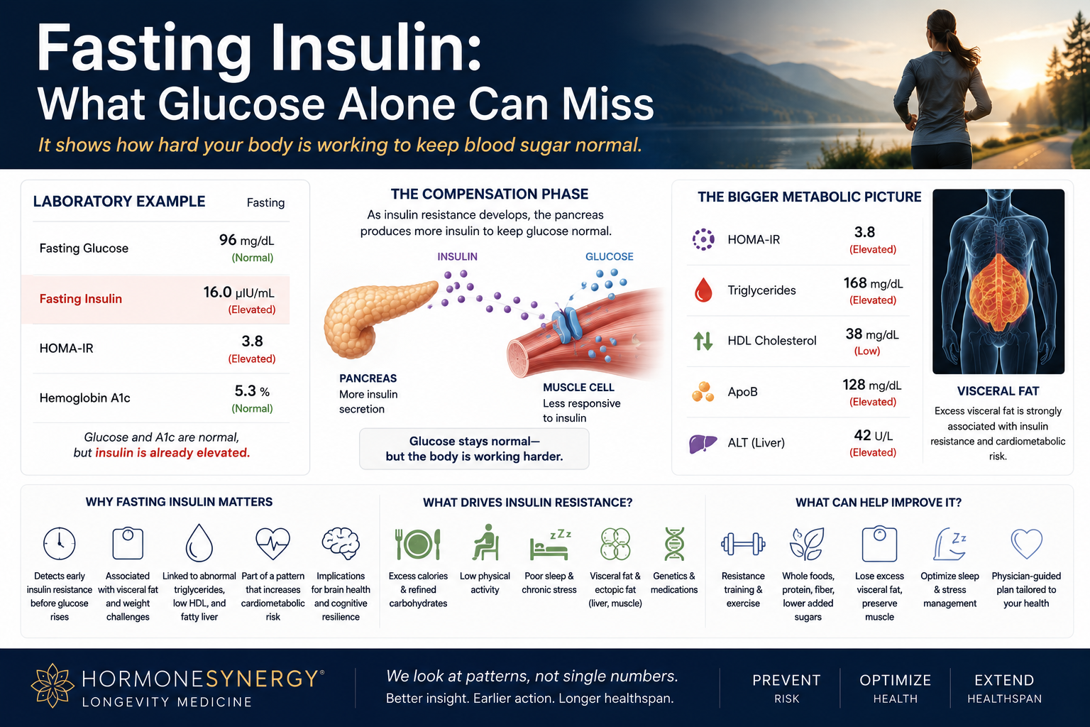 Fasting insulin and metabolic health showing insulin compensation, normal glucose, HOMA-IR, triglycerides, ApoB, and visceral fat.