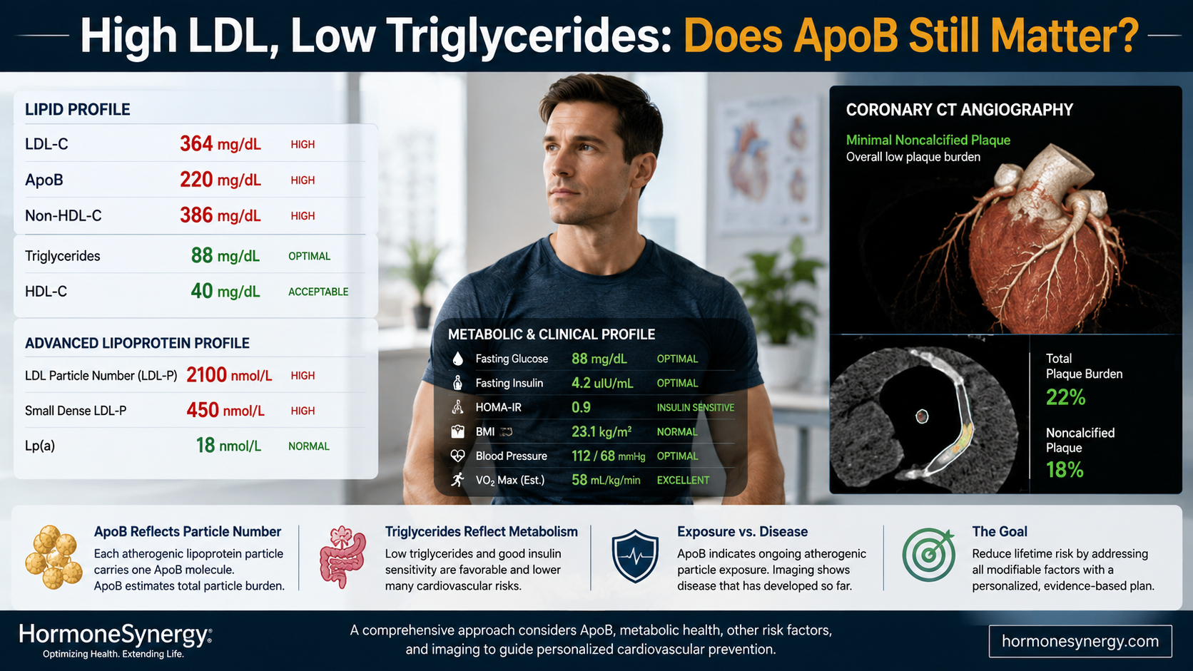 High LDL and ApoB with low triglycerides and good metabolic health illustrated in a preventive cardiology assessment.