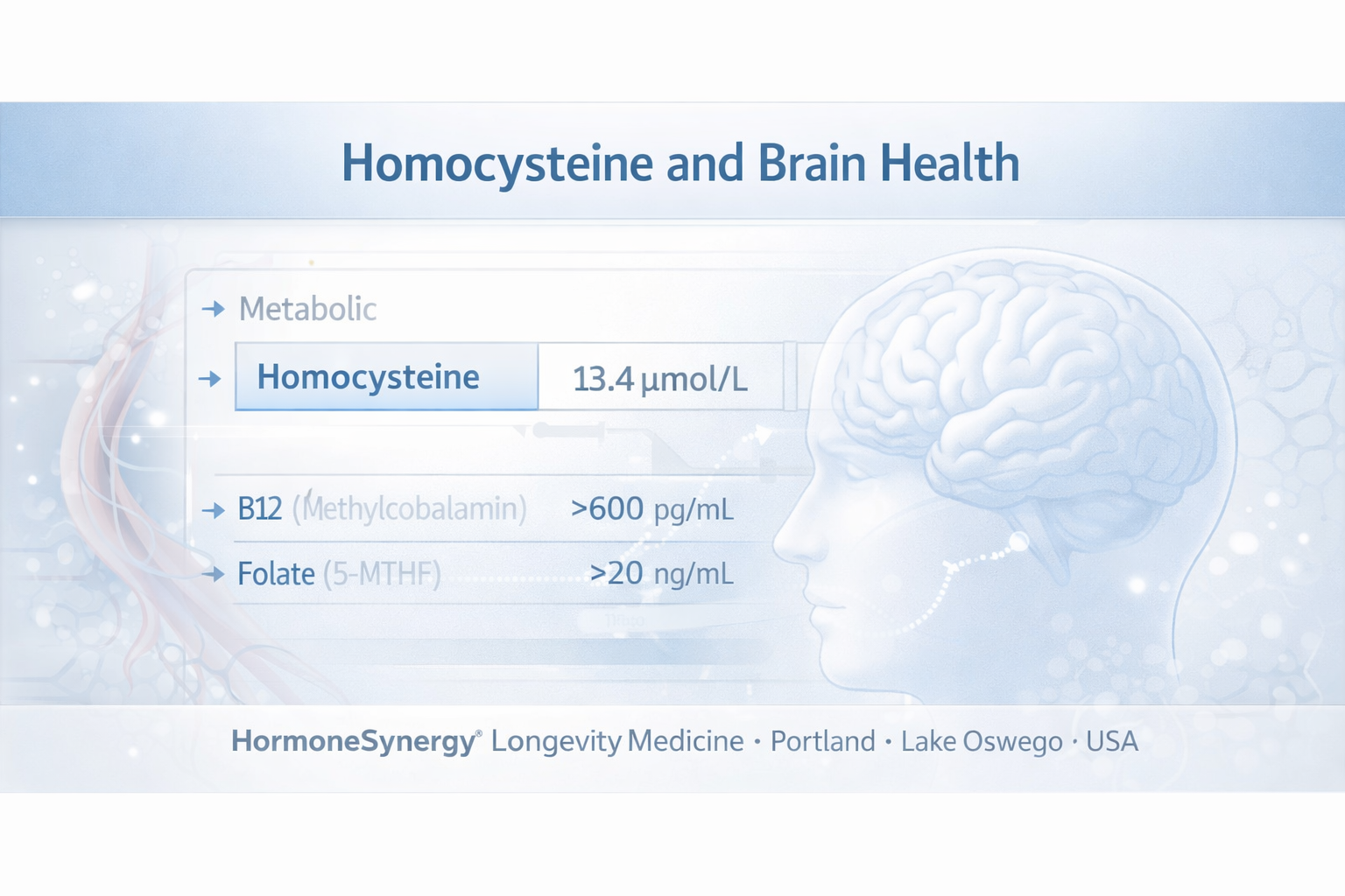 Homocysteine biomarker shown in a clean clinical editorial brain-health visualization with subtle vascular and methylation context for cognitive longevity