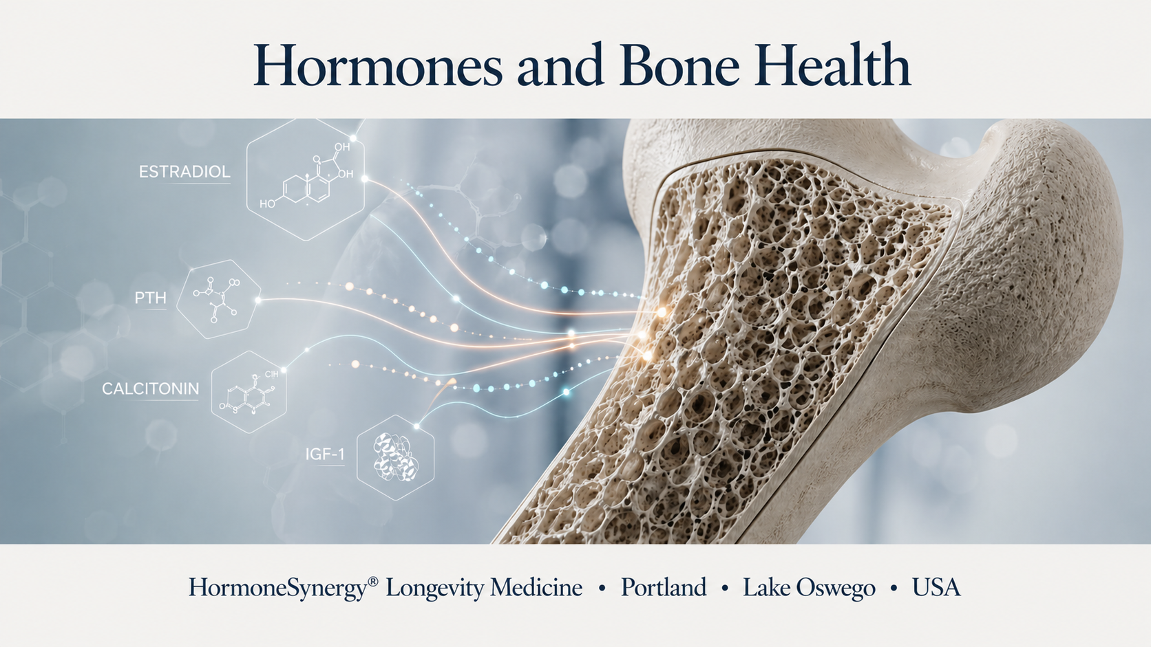 Clinical visualization of hormonal signaling influencing bone density and skeletal health in men and women.