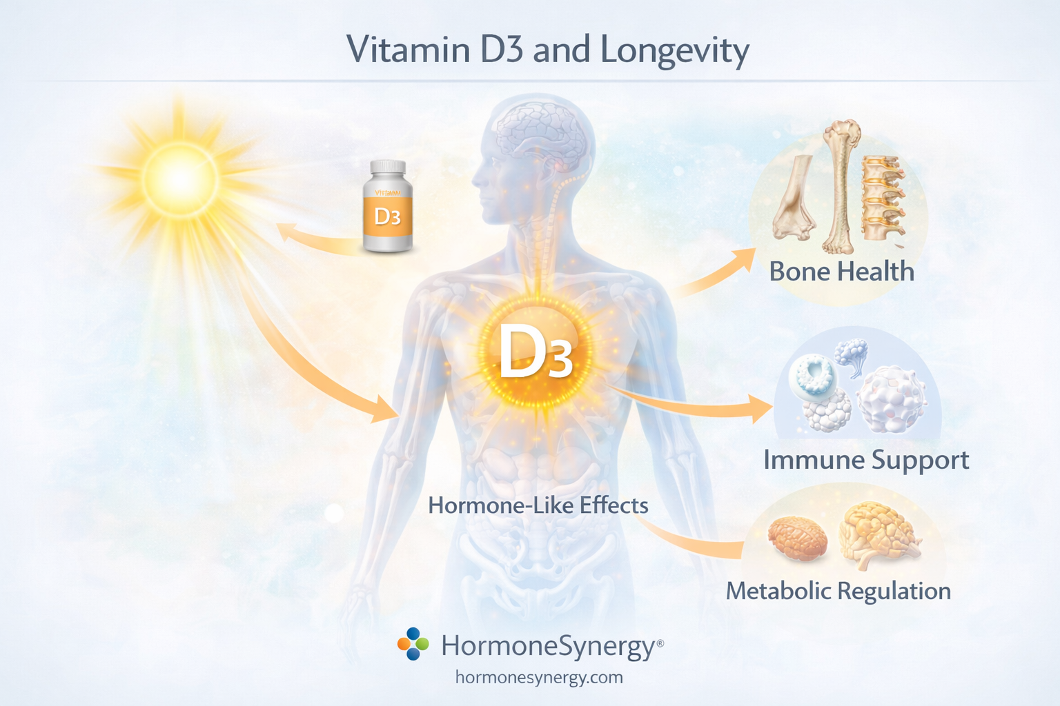 Vitamin D3 clinical illustration showing sunlight exposure, bone health, immune support, and systemic hormone-like effects