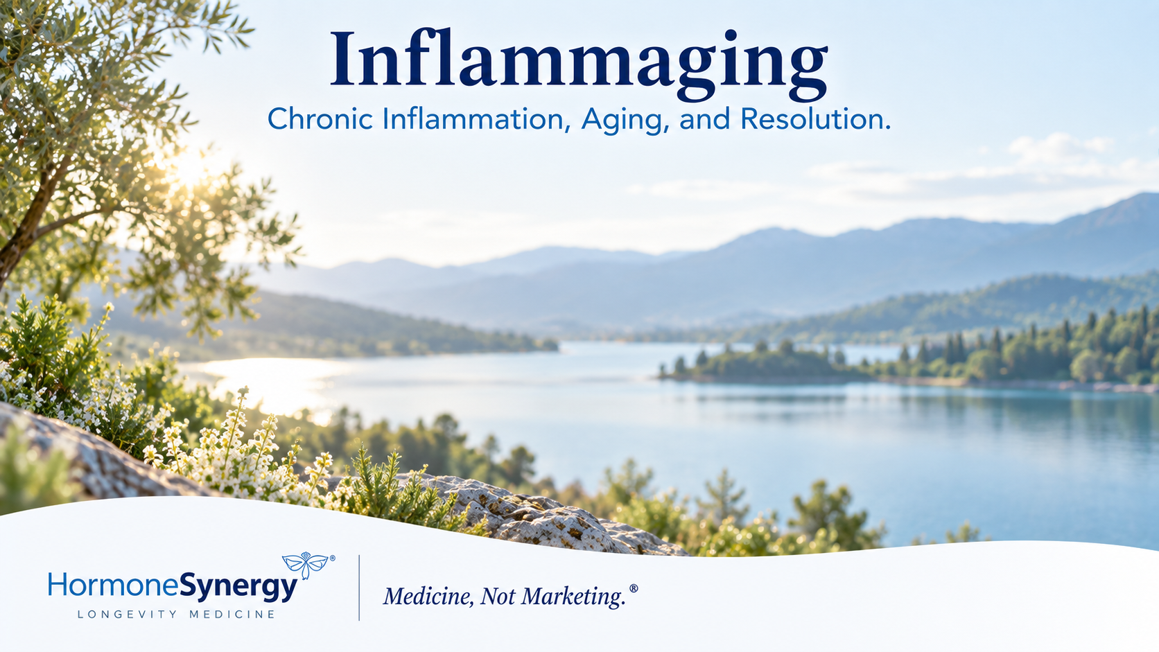 Inflammaging medical illustration showing chronic low-grade inflammation, immune aging, and inflammation resolution in longevity medicine