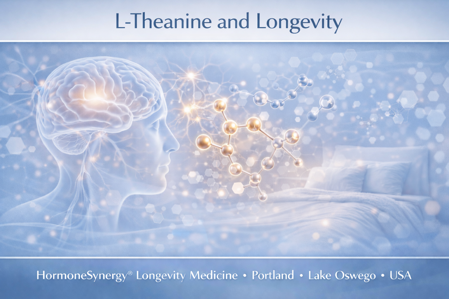 L-theanine and longevity clinical banner for longevity medicine showing calm focus stress resilience and sleep support HormoneSynergy Portland Oregon USA