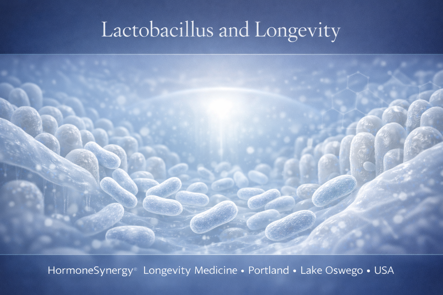 Clinical editorial banner illustrating Lactobacillus and longevity with a refined gut microbiome environment in HormoneSynergy® HS CLINIC GLASS™ format, highlighting digestive and immune support.