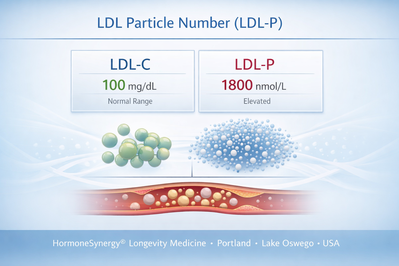 LDL particle number (LDL-P) clinical dashboard showing particle count and cardiovascular risk assessment in longevity medicine