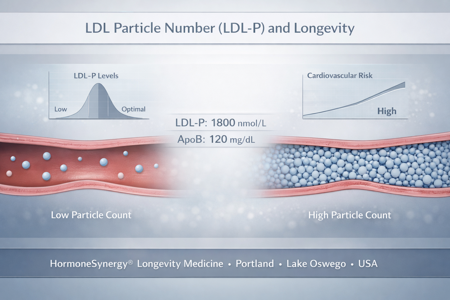 LDL particle number visualization with physician reviewing advanced lipid panel data in a clinical setting representing cardiovascular risk and longevity medicine