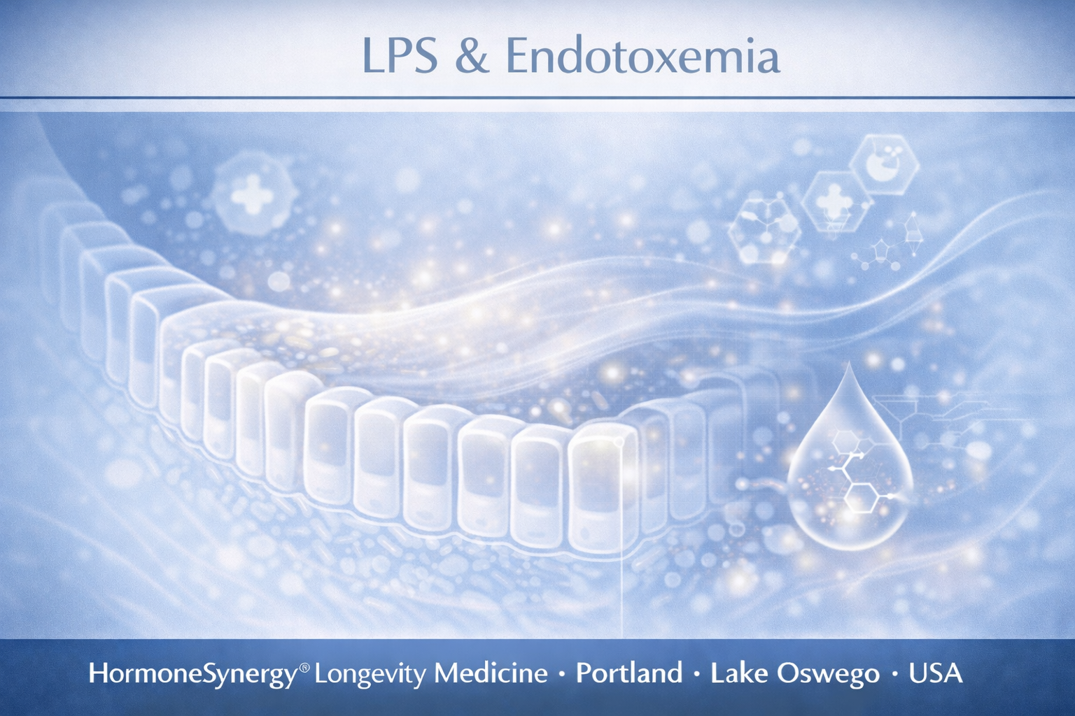 LPS endotoxemia and gut barrier inflammation shown in a clean clinical editorial style for HormoneSynergy® Longevity Medicine