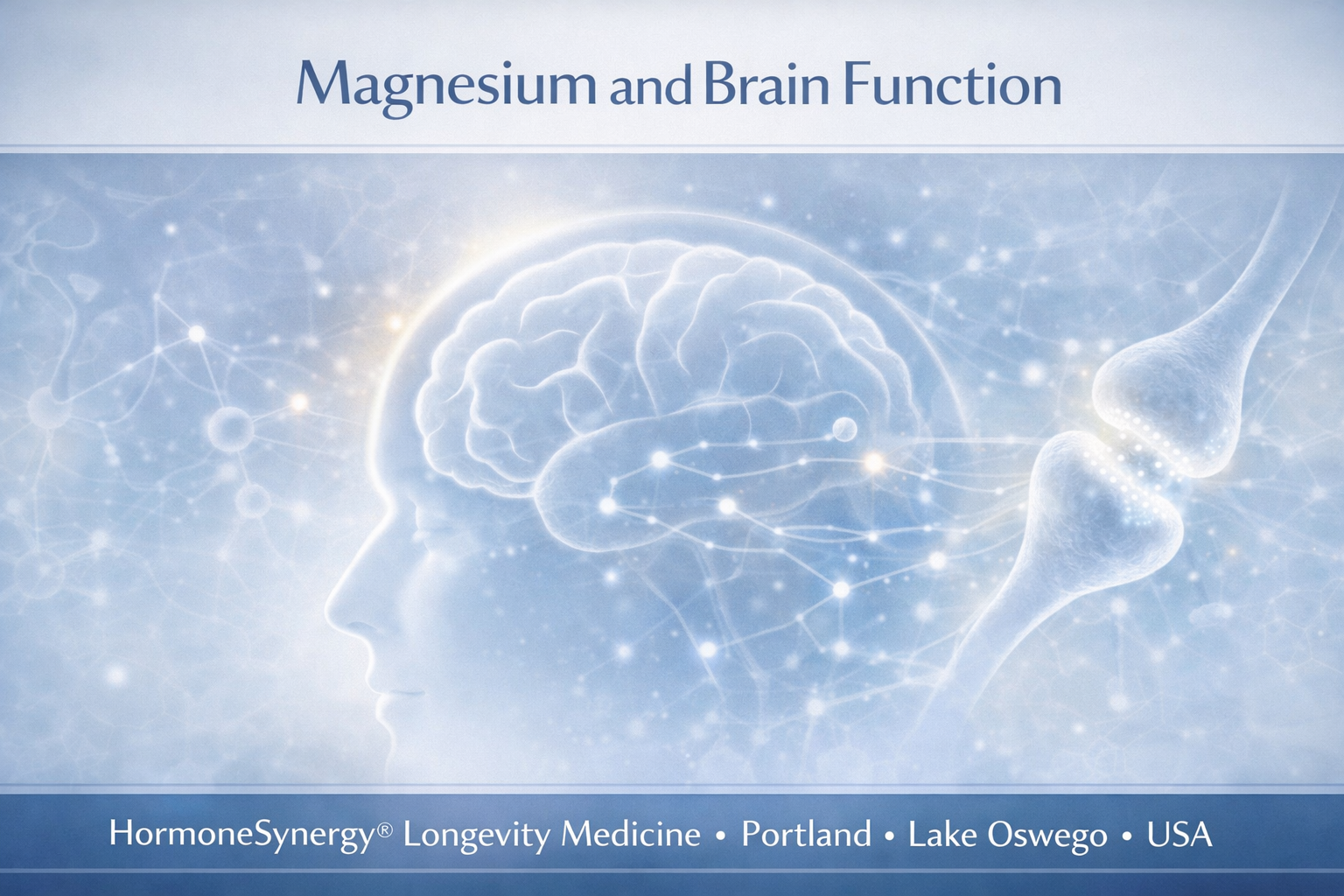 Magnesium and brain function clinical illustration showing neuroplasticity, synaptic signaling, and nervous system balance