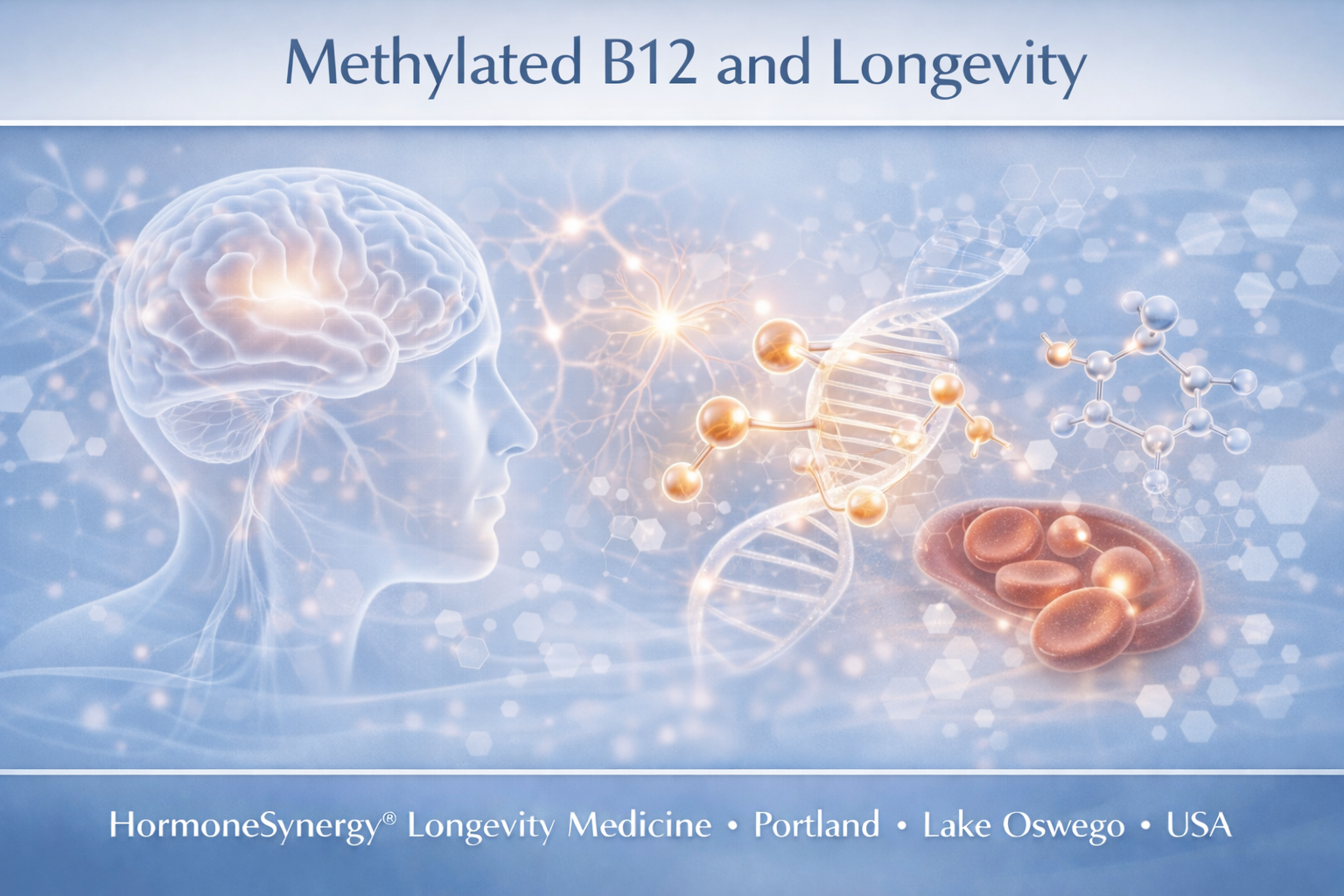 Methylated B12 and longevity clinical banner for longevity medicine showing brain methylation and cellular energy support HormoneSynergy Portland Oregon USA