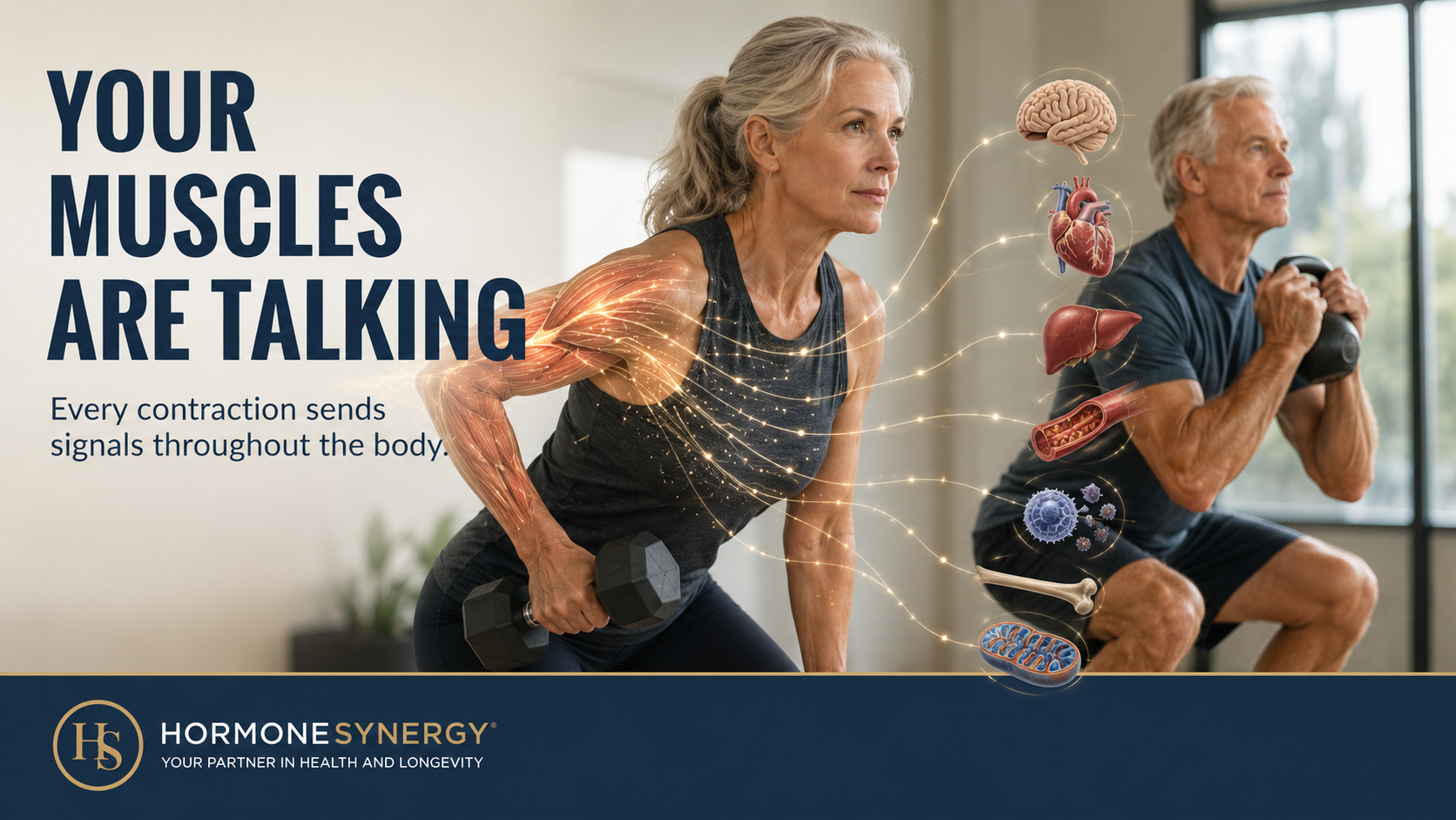 An older woman and man performing resistance exercises as subtle anatomical pathways illustrate myokines carrying signals from contracting muscles to organs throughout the body.