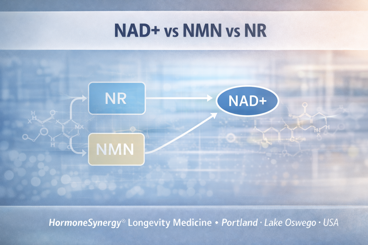 clinical depiction of NAD metabolism pathways including NAD NMN and NR in longevity medicine context