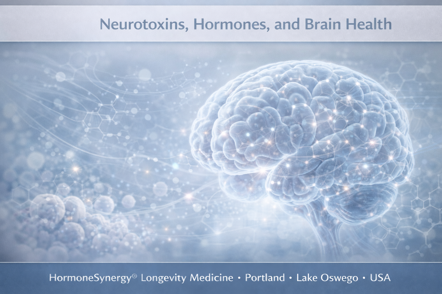 visualization of brain with neural pathways and molecular overlays representing neurotoxins and hormone effects on brain health