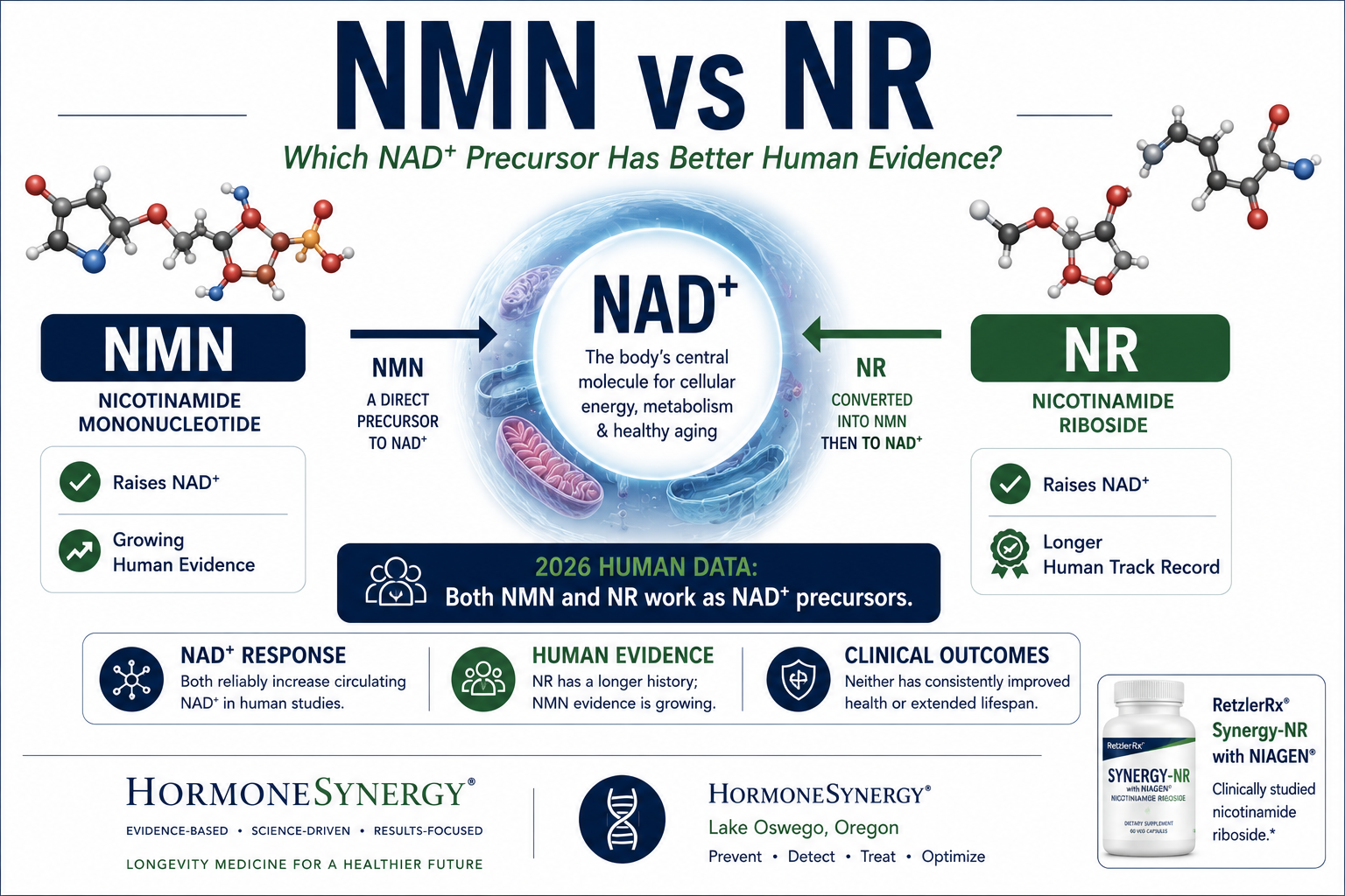 NMN vs NR comparison showing nicotinamide mononucleotide and nicotinamide riboside pathways to NAD⁺ and their relative human research evidence.