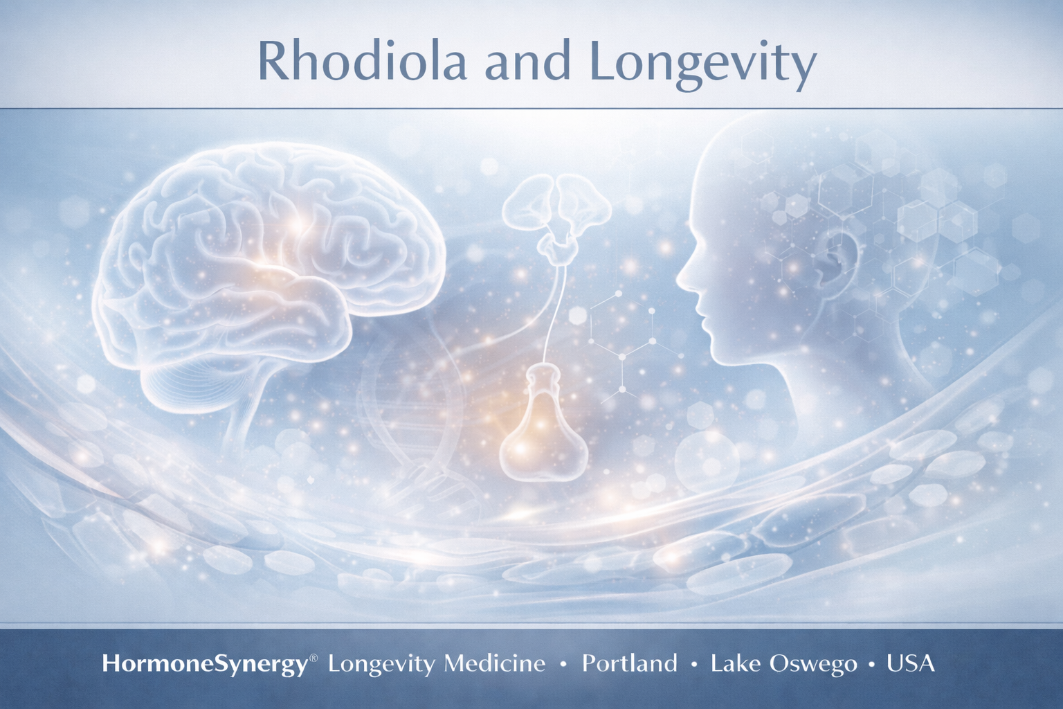 Rhodiola and Longevity clinical editorial banner showing stress response, cognitive performance, and nervous system balance in HormoneSynergy