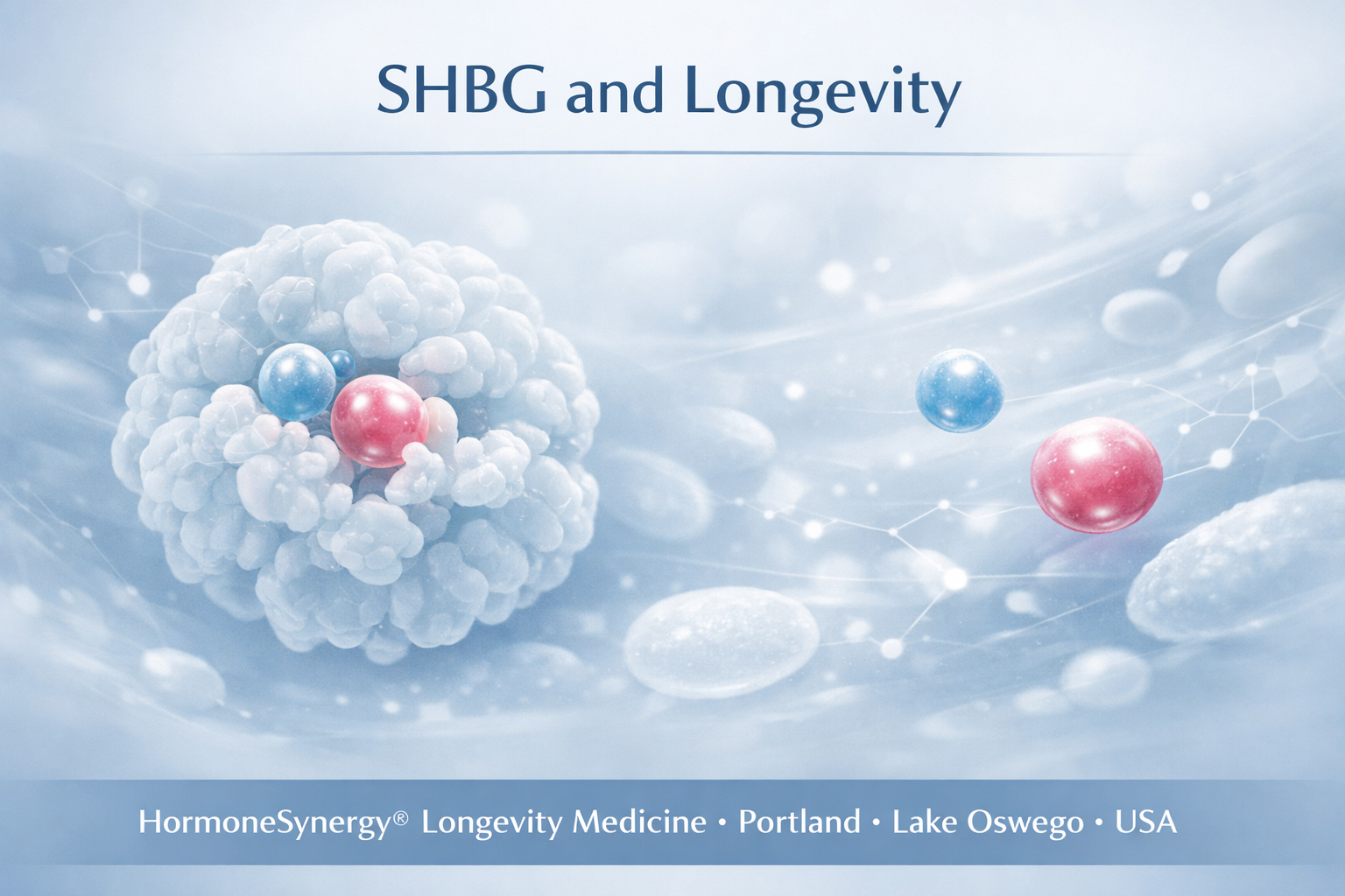 SHBG hormone binding globulin illustration showing hormone transport and metabolic regulation in longevity medicine