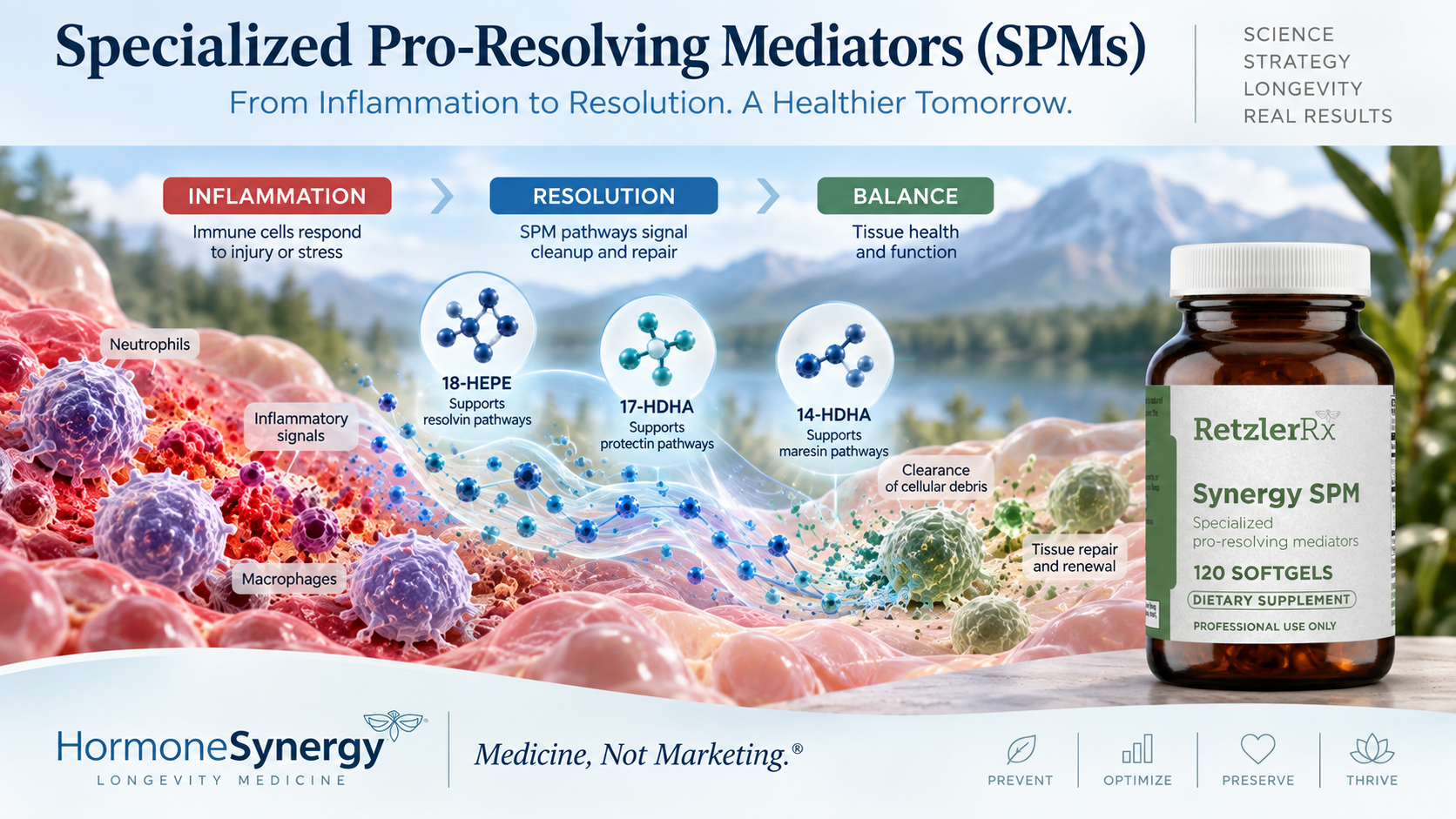 Specialized pro-resolving mediator pathways showing inflammation resolution and omega-3-derived lipid signaling