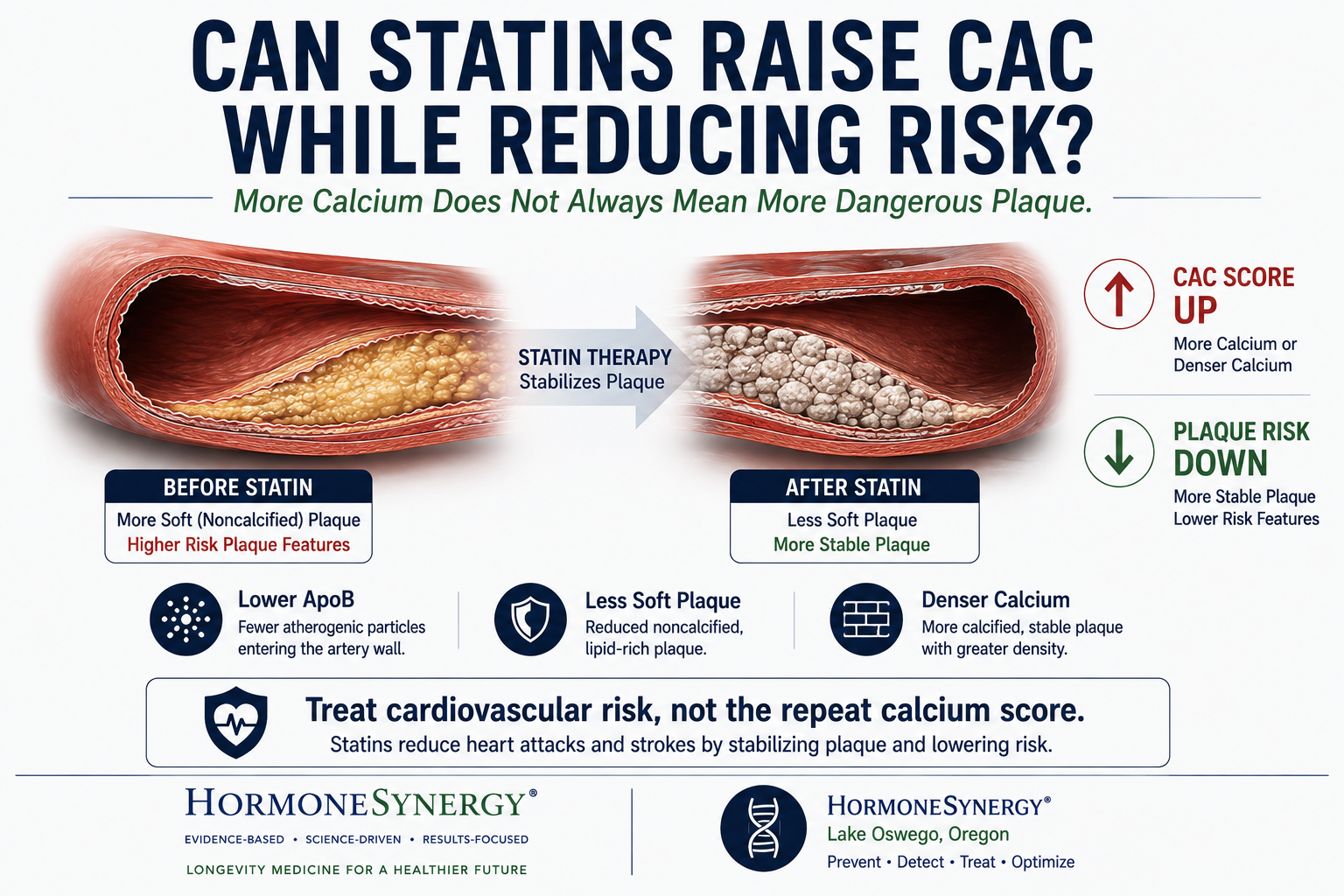 Statins and coronary calcium showing a rising CAC score alongside reduced noncalcified plaque and denser, more stable coronary plaque.