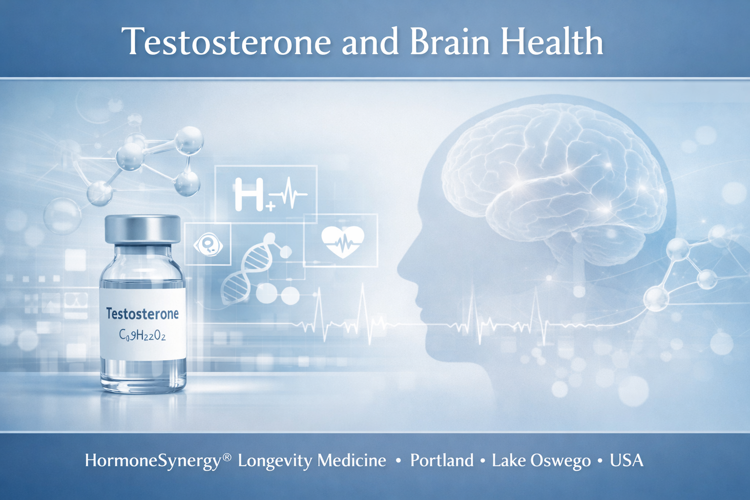 testosterone-brain-health-longevity-hormonesynergy.jpg