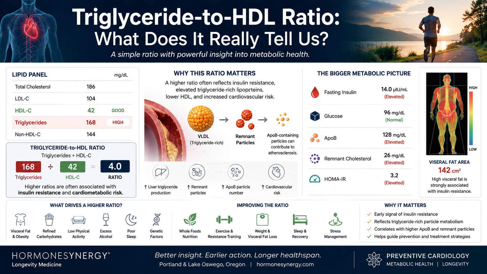 Triglyceride-to-HDL ratio illustrated with fasting insulin, ApoB, remnant particles, and metabolic health markers.