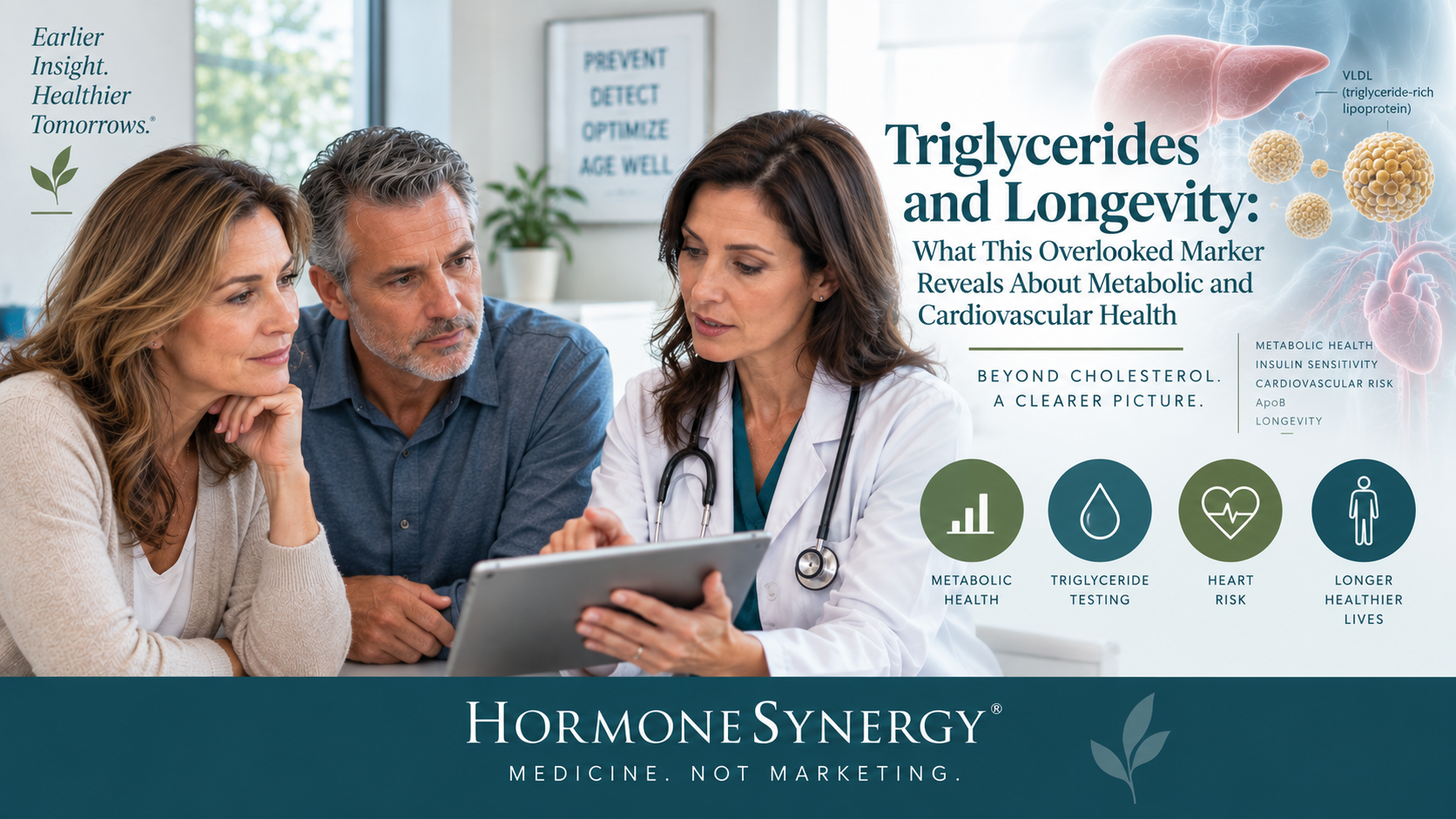 triglycerides-metabolic-cardiovascular-health-hormonesynergy.jpg