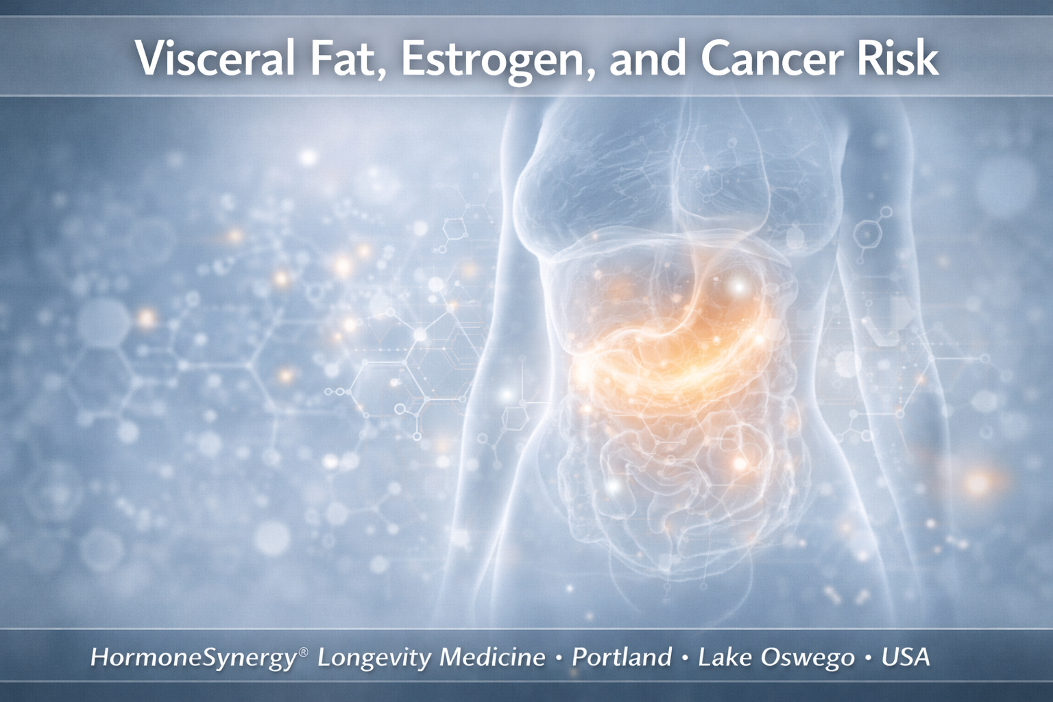 Visceral fat, estrogen, and cancer risk banner showing a clinical body composition visualization with subtle metabolic and hormonal overlays.