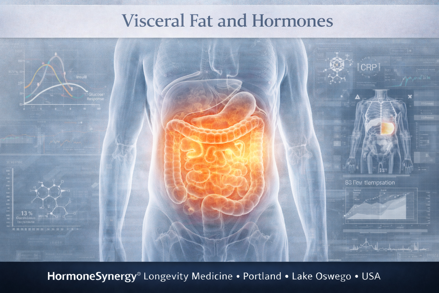 Visceral Fat and Hormones | Metabolic Health & Longevity | HormoneSynergy®