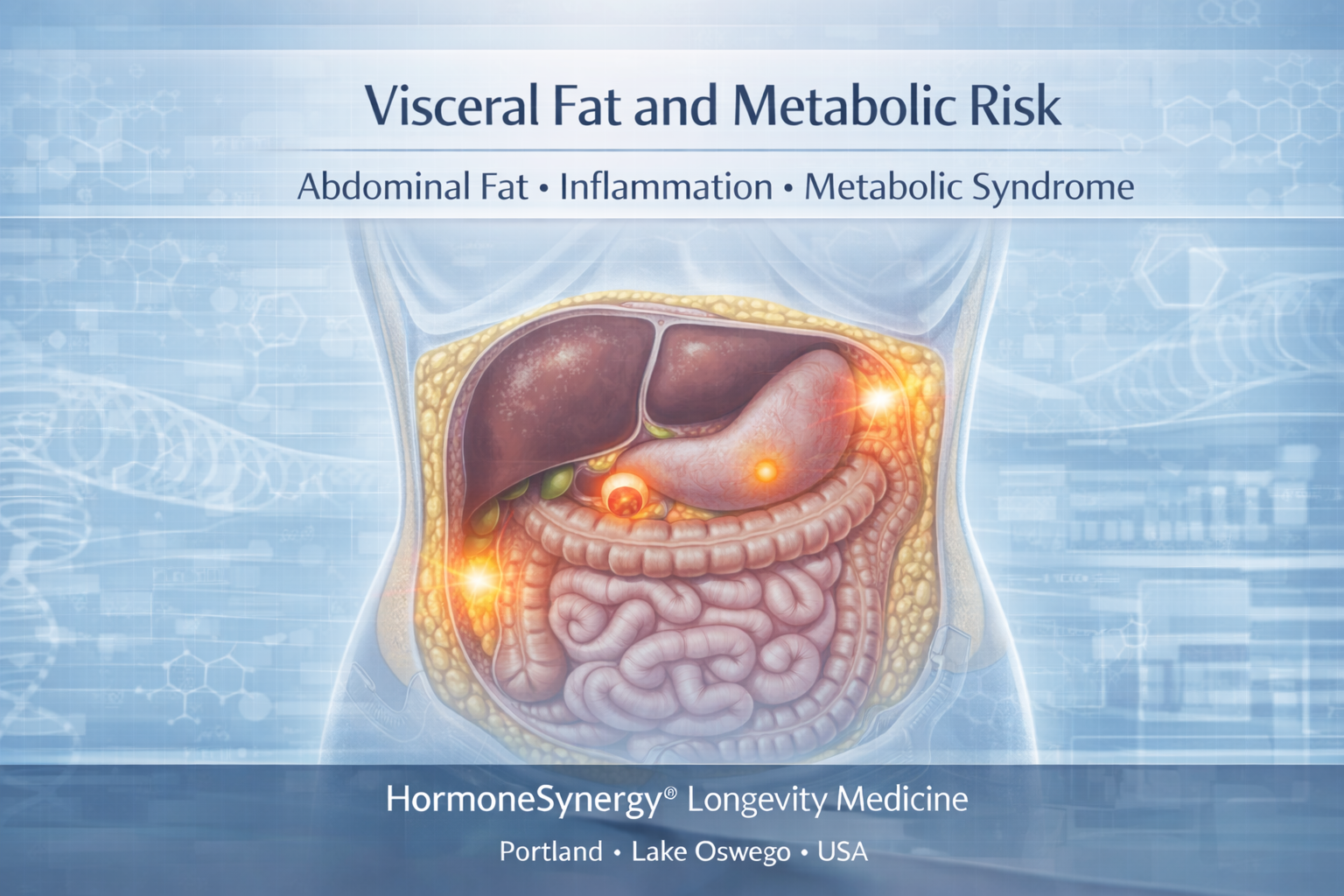 Visceral belly fat illustrating its role in insulin resistance metabolic dysfunction and increased risk of chronic disease HormoneSynergy® Longevity Medicine Portland • Lake Oswego • USA