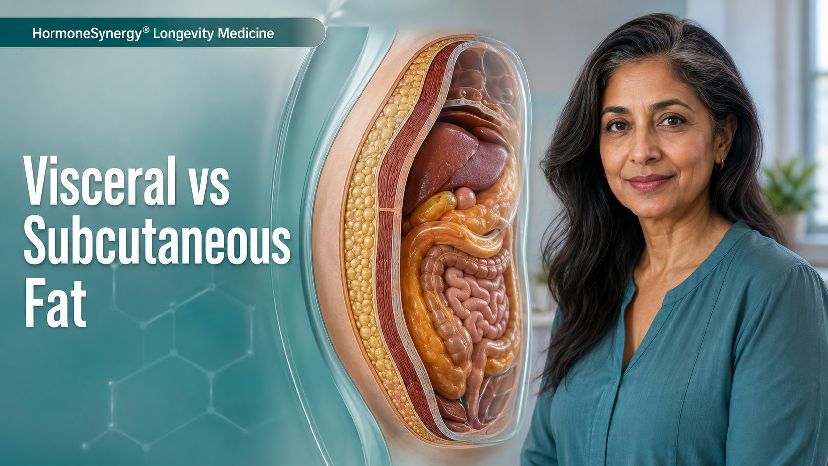 HormoneSynergy® abdominal cross-section comparing subcutaneous fat beneath the skin with visceral fat surrounding the internal organs.