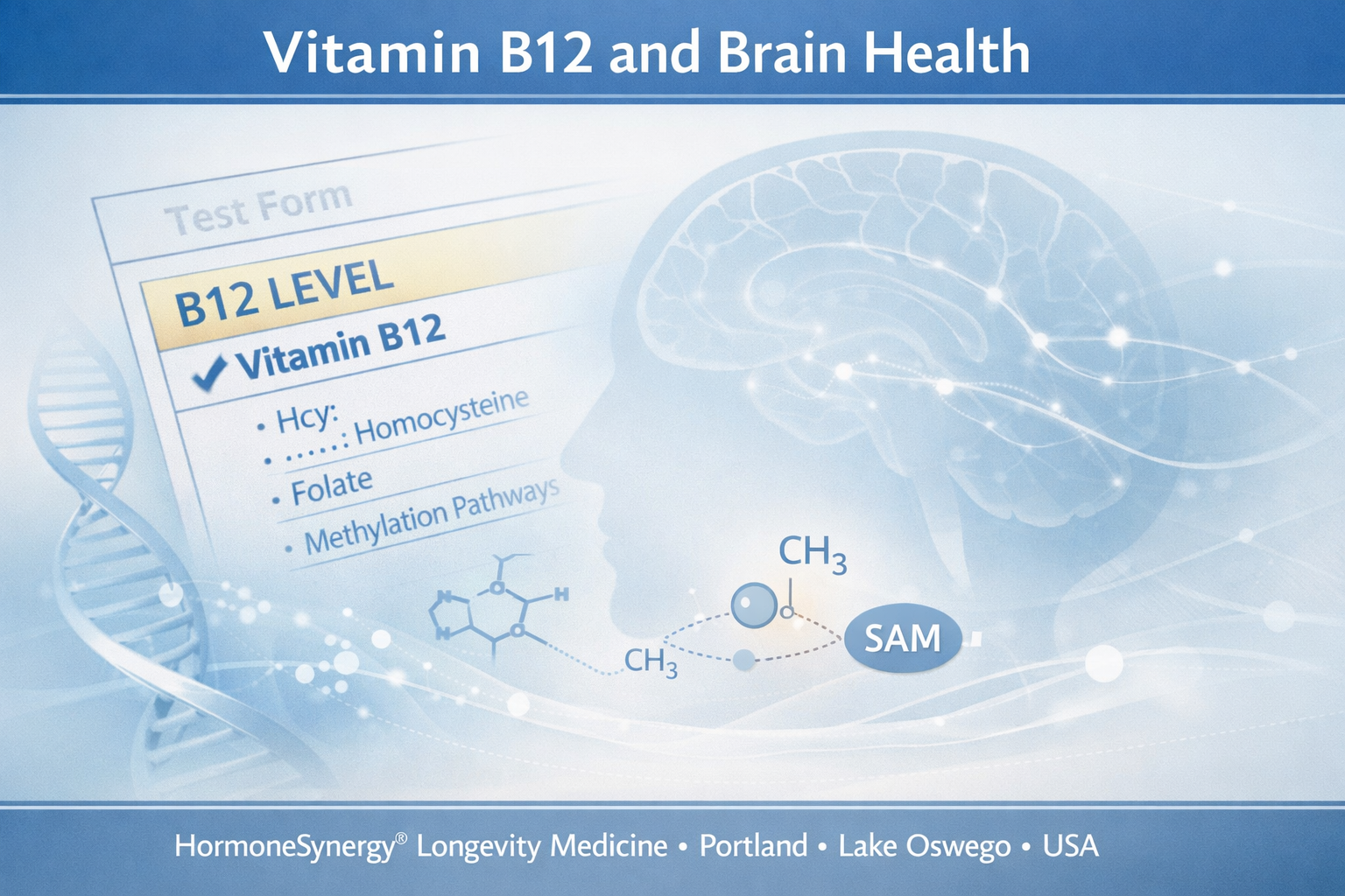 Vitamin B12 and brain health visualized with subtle neural and methylation pathways in a clean clinical editorial style for HormoneSynergy® Longevity Medicine